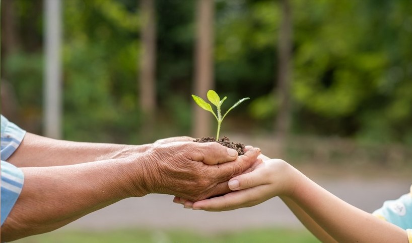 AAYZA GLOBAL FOUNDATION